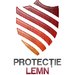 Protectie Lemn